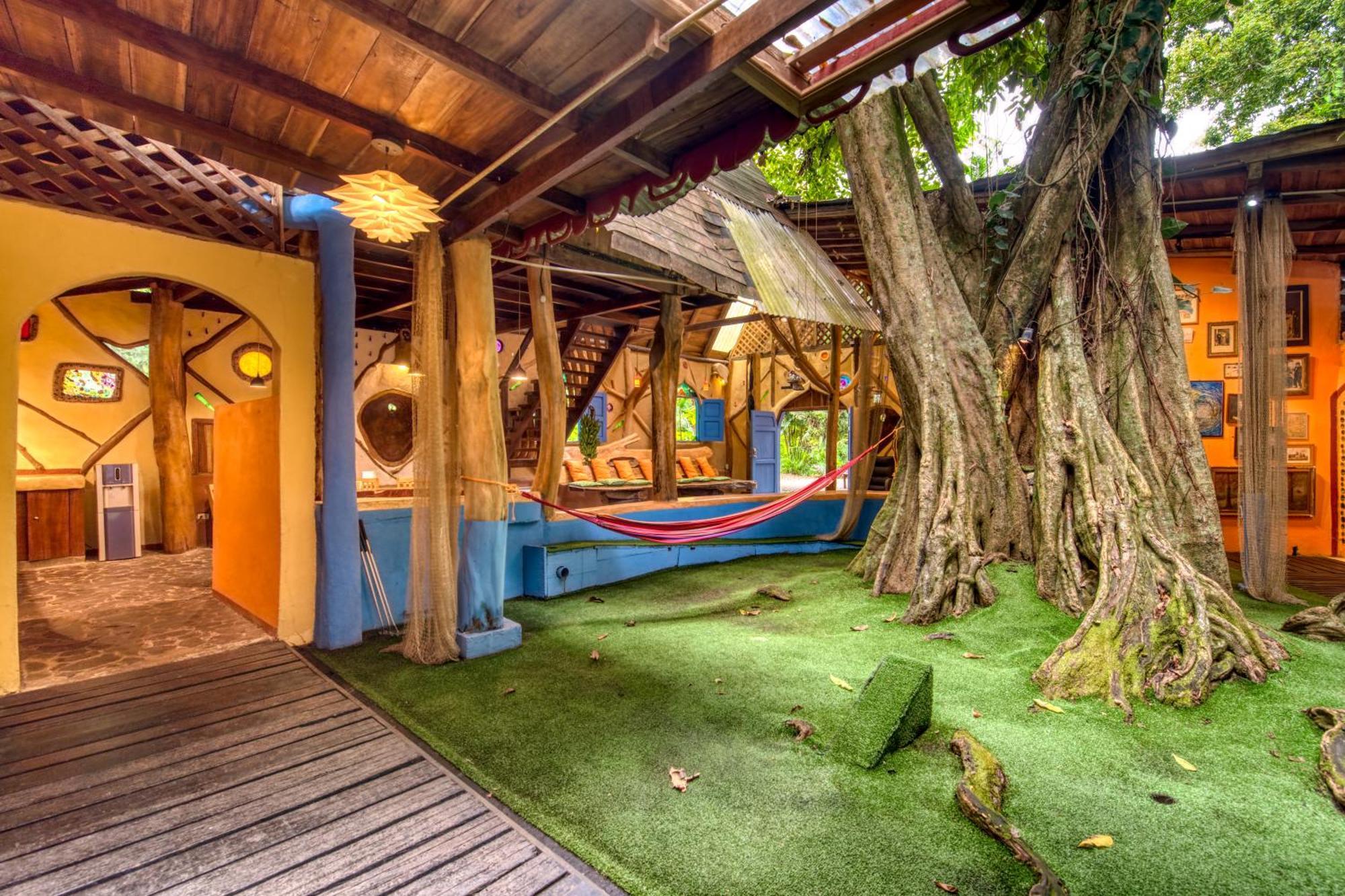Tree House Beachfront Lodge Puerto Viejo de Talamanca Exterior foto