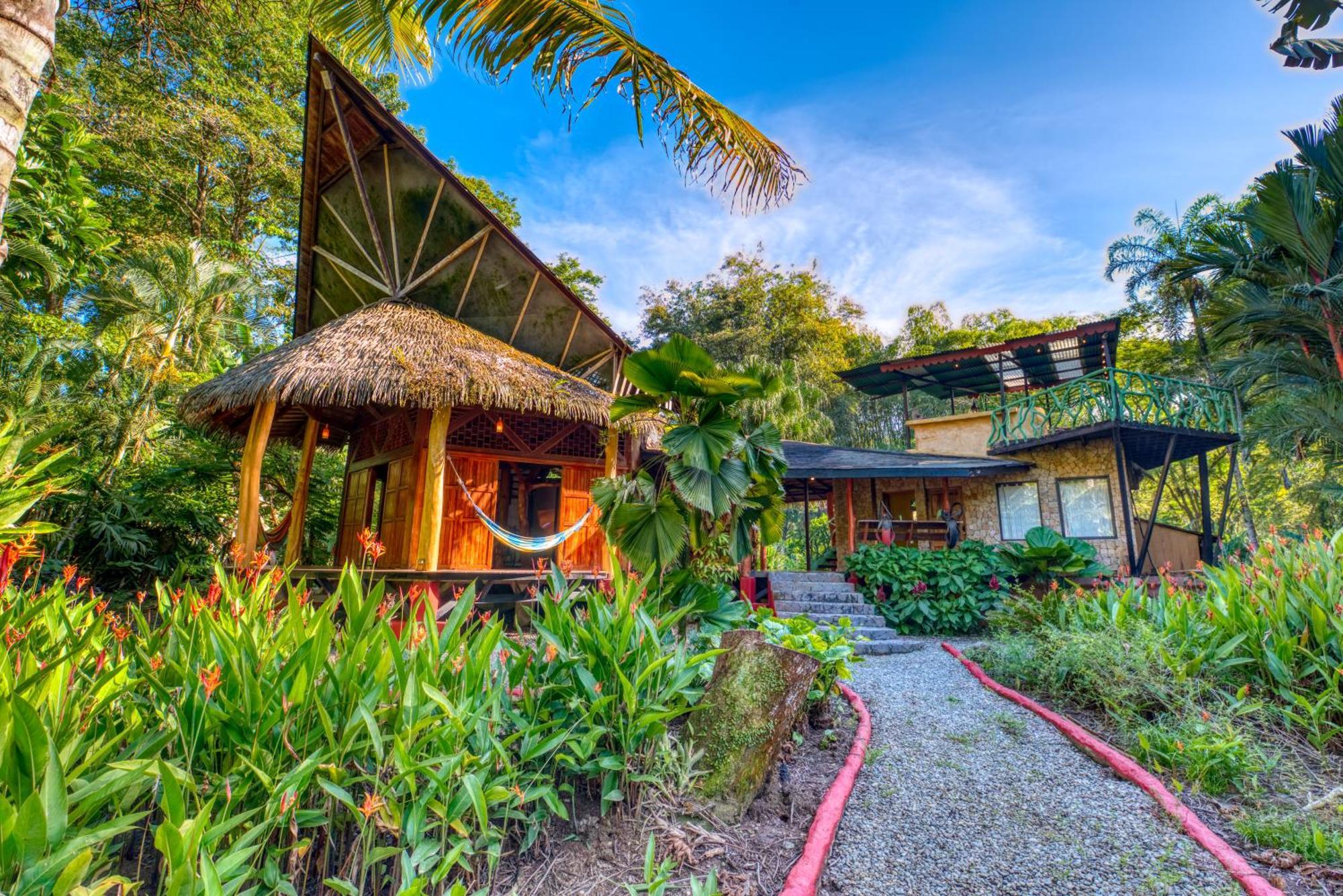 Tree House Beachfront Lodge Puerto Viejo de Talamanca Exterior foto