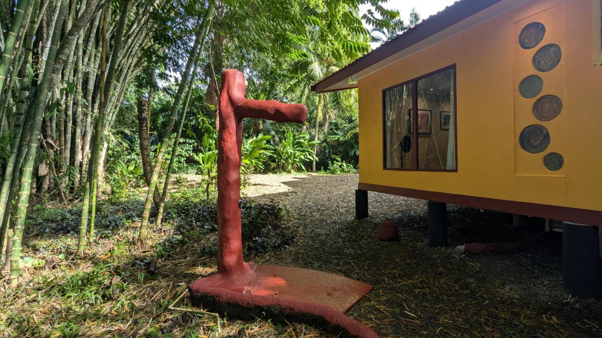 Tree House Beachfront Lodge Puerto Viejo de Talamanca Exterior foto