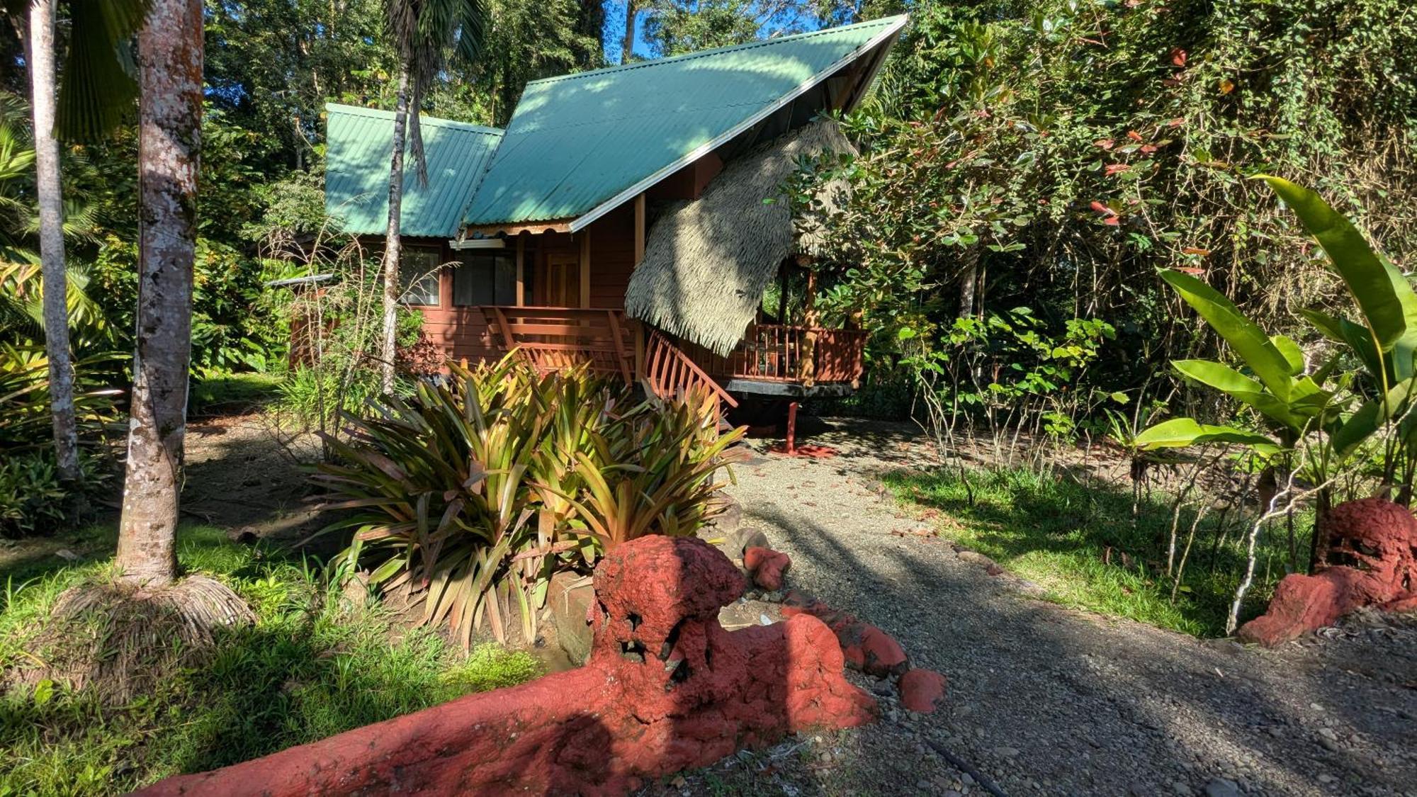 Tree House Beachfront Lodge Puerto Viejo de Talamanca Exterior foto