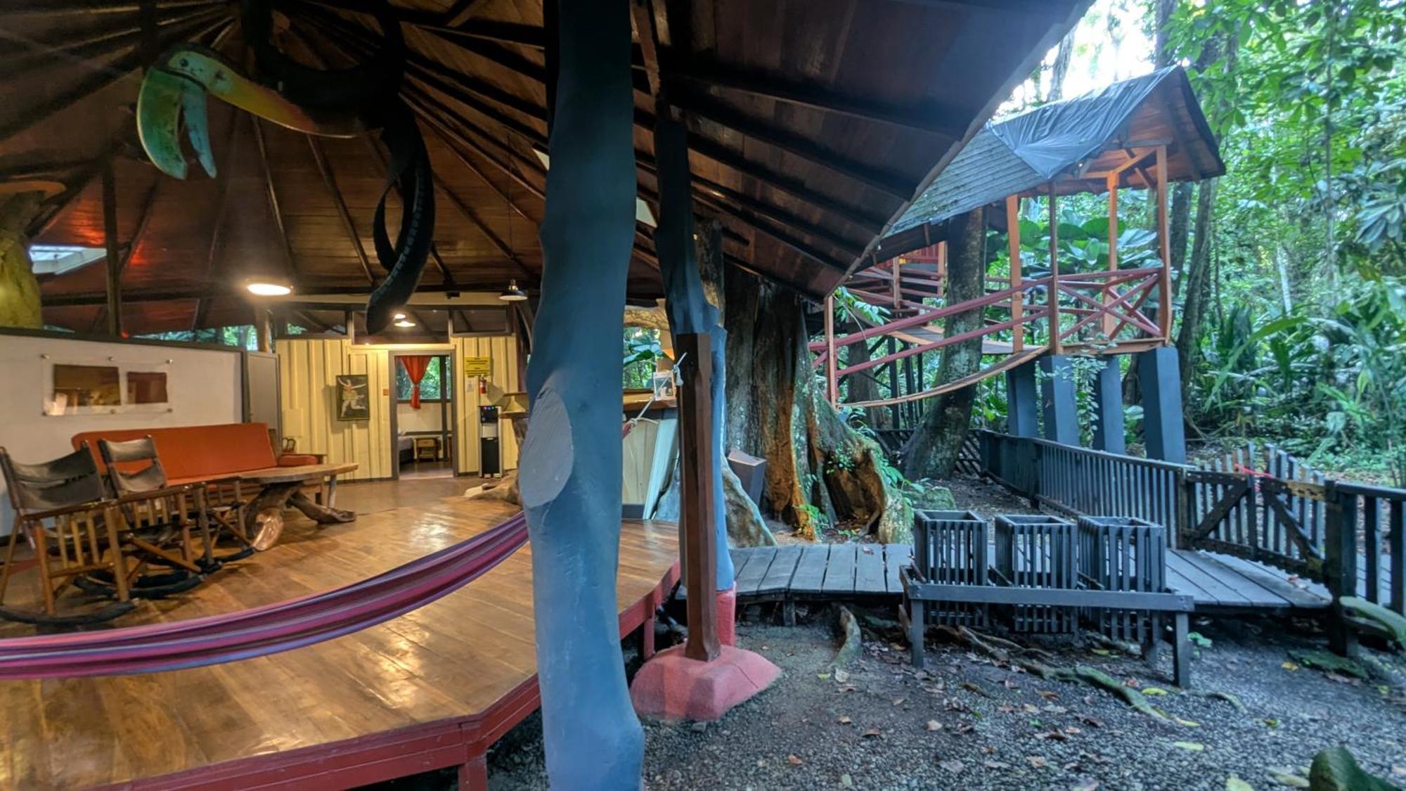 Tree House Beachfront Lodge Puerto Viejo de Talamanca Exterior foto