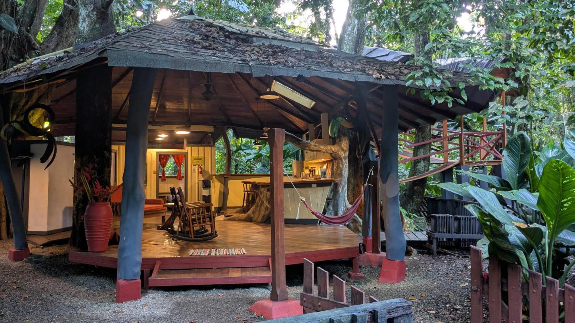 Tree House Beachfront Lodge Puerto Viejo de Talamanca Exterior foto