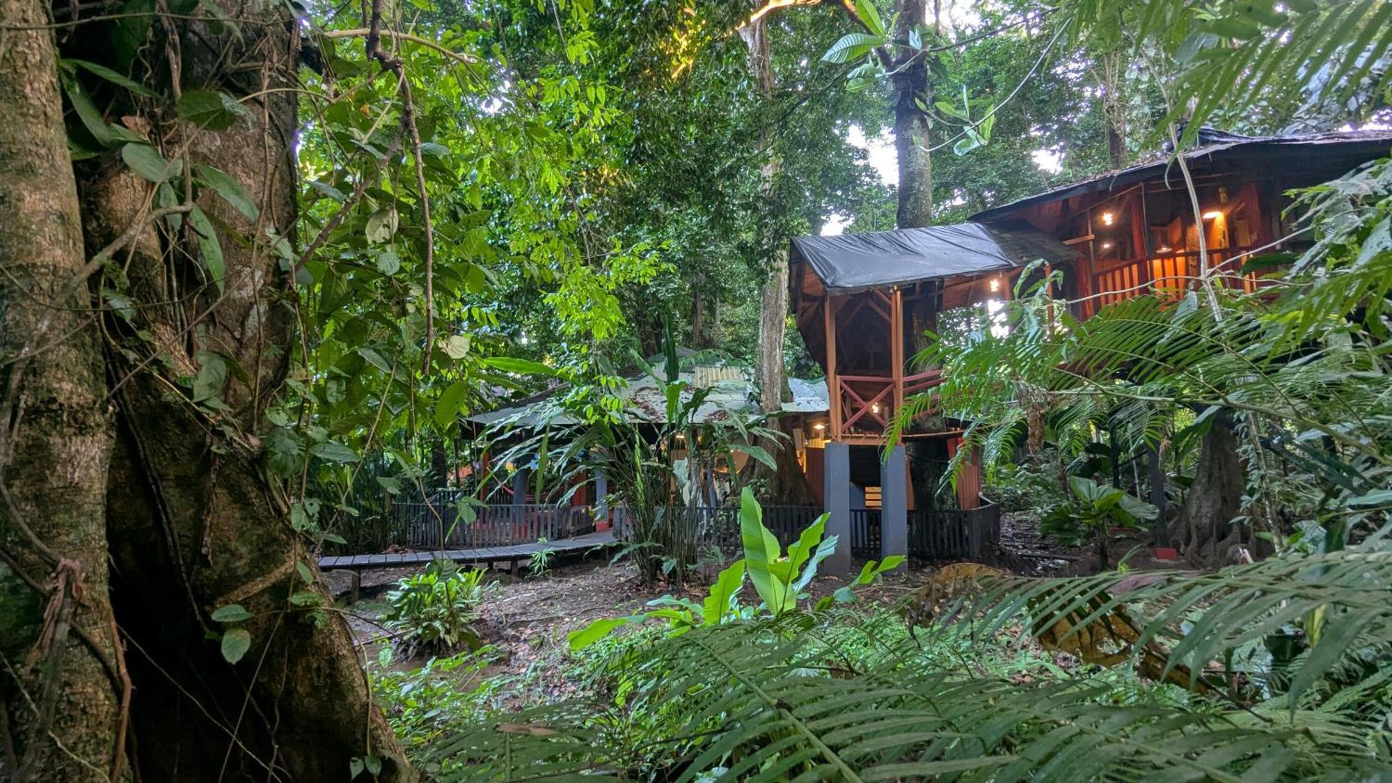Tree House Beachfront Lodge Puerto Viejo de Talamanca Exterior foto