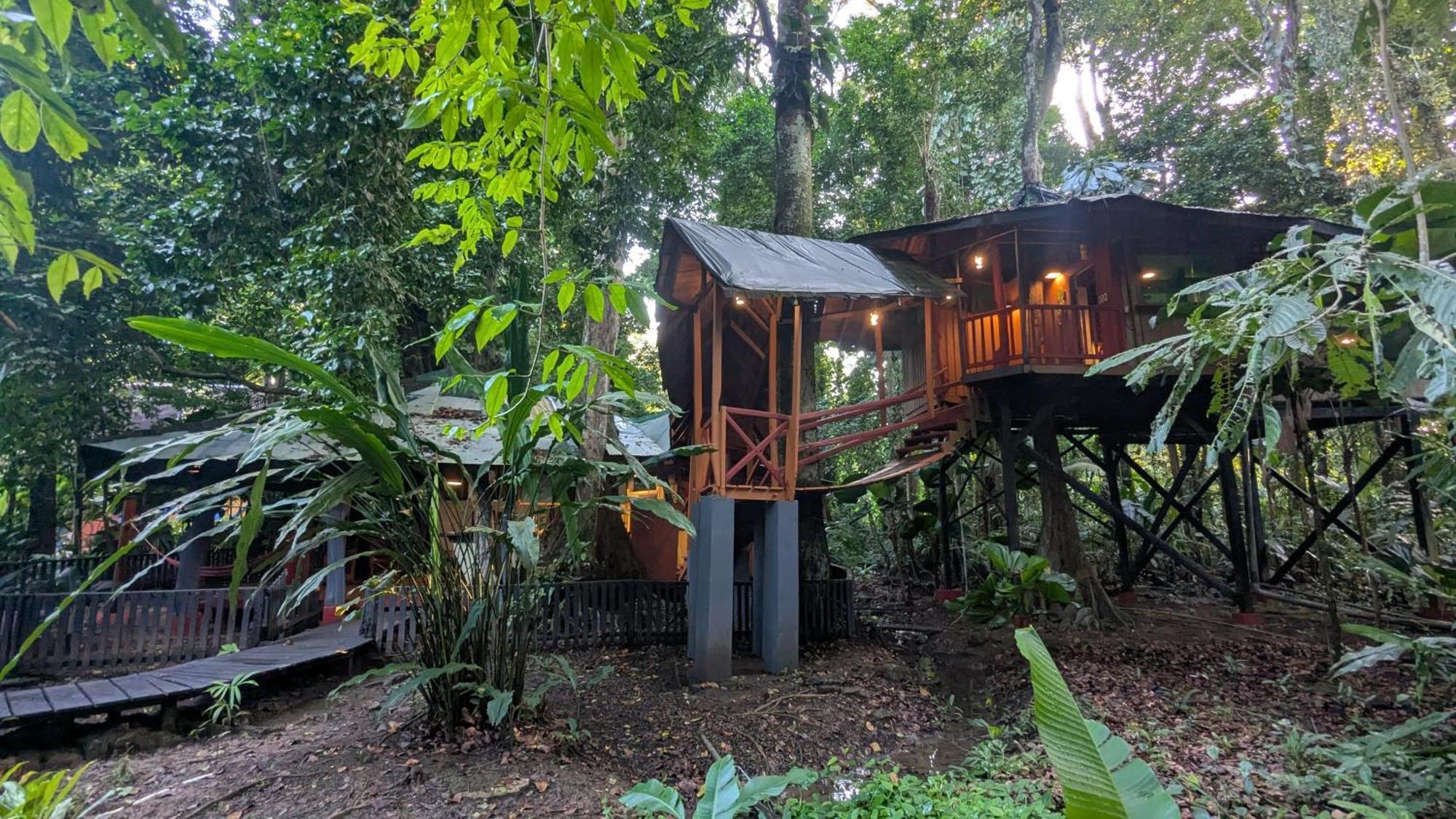 Tree House Beachfront Lodge Puerto Viejo de Talamanca Exterior foto